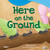 Here on the Ground by Dona Herweck Rice, Steffane McClary, 9798765961537