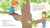 Wish in a Tree by Lynda Mullaly Hunt, Nancy Carpenter, 9781524739683