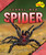 Funnel-Web Spider - 9798889164968 by Rachel Rose, 9798889164968