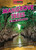 Mangrove Trees in Their Ecosystems - 9798889166306 by Olivia Hammond, 9798889166306