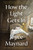 How the Light Gets In (A Novel) - 9780062398314 by Joyce Maynard, 9780062398314
