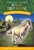 Windy Night with Wild Horses - 9780593706503 by Mary Pope Osborne, AG Ford, 9780593706503