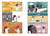 On Guard! (A Marshall Middle School Graphic Novel) - 9780593649992 by Cassidy Wasserman