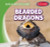Bearded Dragons - 9781538292679 by Seth Lynch, 9781538292679