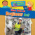 What Does an Engineer Do? - 9781538395400 by Ruth Owen
