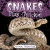 Snakes Play Tricks! - 9781538293584 by Jennifer Lombardo, 9781538293584