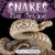 Snakes Play Tricks! - 9781538293584 by Jennifer Lombardo