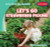Let's Go Strawberry Picking - 9781538294963 by Kristen Rajczak Nelson, 9781538294963