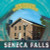 Seneca Falls - 9781482466447 by Janey Levy, 9781482466447