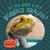 Do You Want a Pet Bearded Dragon? by Louis Mallory, 9781978540712