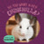 Do You Want a Pet Chinchilla? by Louis Mallory, 9781978540743