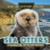 Sea Otters: A Coastal Keystone Species by Kathleen A. Klatte, 9781499446623