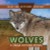 Wolves: A Taiga Keystone Species by Kathleen A. Klatte, 9781499446654 Wolves: A Taiga Keystone Species by Kathleen A. Klatte, 9781499446654