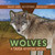 Wolves: A Taiga Keystone Species - 9781499446661 by Kathleen A. Klatte, 9781499446661