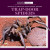 Trap-Door Spiders - 9781725351332 by Roxanne Aldolpho, 9781725351332