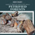 Petrified Forests - 9781725352049 by Natalie Humphrey