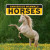 Horses - 9781684502745 by Madison Parker, 9781684502745