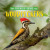 Woodpeckers - 9781684502905 by Madison Parker, 9781684502905