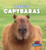 Capybaras by Ursula Pang, 9781499450675