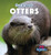 Otters - 9781499450767 by Ursula Pang, 9781499450767