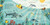 God's Little Oceanographer by Tina Cho, Marta Álvarez Miguéns, 9780593579435
