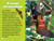 National Geographic Readers: Los Murciélagos (Spanish Edition) - 9781426378270 by Elizabeth Carney