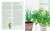 The Herb Kitchen (Recipes for enjoying & using herbs in your cooking) by Ryland Peters & Small, 9781788796873
