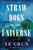 Straw Dogs of the Universe (A Novel) - 9781646222377 by Ye Chun, 9781646222377