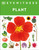 Eyewitness Plant by DK, 9780593969076