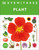 Eyewitness Plant - 9780593969083 by DK, 9780593969083