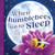 When Bumblebees Go to Sleep by Claire Wrenn Bobrow, Natalia Vasilica, 9781464219320