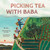 Picking Tea with Baba by Xu Bin, Yu Yin, Shan Chen, 9781623546236
