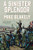 A Sinister Splendor (A Mexican War Novel) by Mike Blakely, 9781250811820
