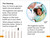 DK Super Readers Level 1 A Trip to the Dentist - 9780593962435 by DK