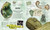 Treasures of the Earth (Rocks, Minerals, Crystals, and Gems) by DK, 9780593969489
