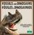 Fósiles y dinosaurios (Fossils and Dinosaurs) Bilingual Eng/Spa - 9781039869134 by Julie K. Lundgren, 9781039869134 Fósiles y dinosaurios (Fossils and Dinosaurs) Bilingual Eng/Spa - 9781039869134 by Julie K. Lundgren, 9781039869134