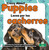 Locos por los cachorros (Crazy About Puppies) Bilingual Eng/Spa by Harold Morris, 9781039869370