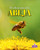 El ciclo de vida de la abeja - second edition (The Life Cycle of a Honeybee) - 9781039865709 by Bobbie Kalman, 9781039865709