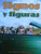 Signos y figuras (Math Reader; CAC26/TXC8) (Spanish Edition) by Math, 9780618931323