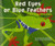 Red Eyes or Blue Feathers (Read Aloud Grade K) by Reading, 9780547010397