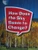 Book 037: How Does the Sky Seem to Change? (Leveled Reader, Extra Support Grade 1) by HMH HMH, 9780544072145