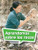 Book 085: Aprendamos sobre las rocas (Leveled Reader, Enrichment Grade 2) (Spanish Edition) by HMH HMH, 9780544077546