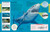 Ocean (A Visual Encyclopedia, 2nd Edition) by DK, 9780593969502