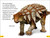 DK Super Readers Level 2 Spanish Translation Dinosaur Dinners - Cena para un Dinosaurio by DK, 9780593966624