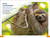 DK Super Readers Level 1 Spanish Bilingual Jungle Animals â€“ Animales de la selva by DK, 9780593966600