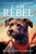 I Am Rebel - 9781536246797 by Ross Montgomery, 9781536246797