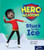Stuck to the Ice (Leveled Reader Set 6 Level H) by HMH HMH, 9780358087946