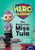 The Mysterious Miss Tula (Leveled Reader Set 12 Level Q) by HMH HMH, 9780358088318