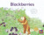 Blackberries (Leveled Reader Yellow Fiction Level 6 Grade 1) by HMH HMH, 9780358121503