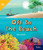 Off to the Beach (Leveled Reader Grade K) by HMH HMH, 9780358261759